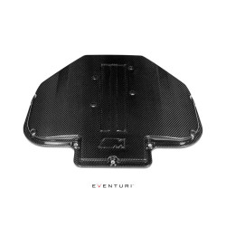 Eventuri Cache Collecteur Admission Carbone BMW M5 E39