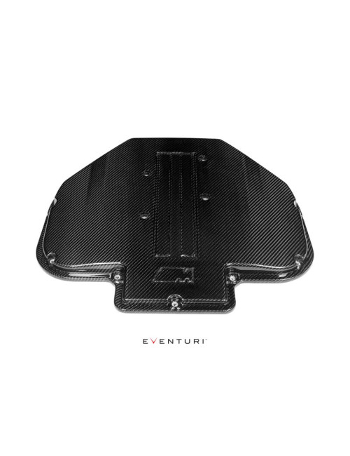 Cache Collecteur Carbone Eventuri BMW M5 E39