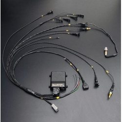 Faisceau Universel STD 4Cyl