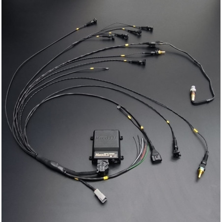 Faisceau Universel STD 4Cyl