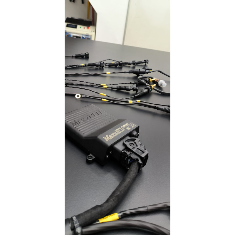 Faisceau Universel STD 4Cyl