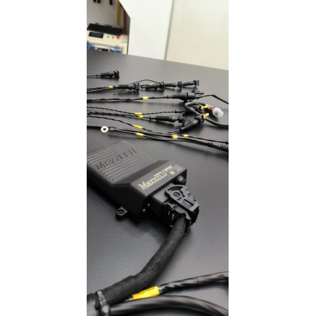 Faisceau Universel STD 4Cyl