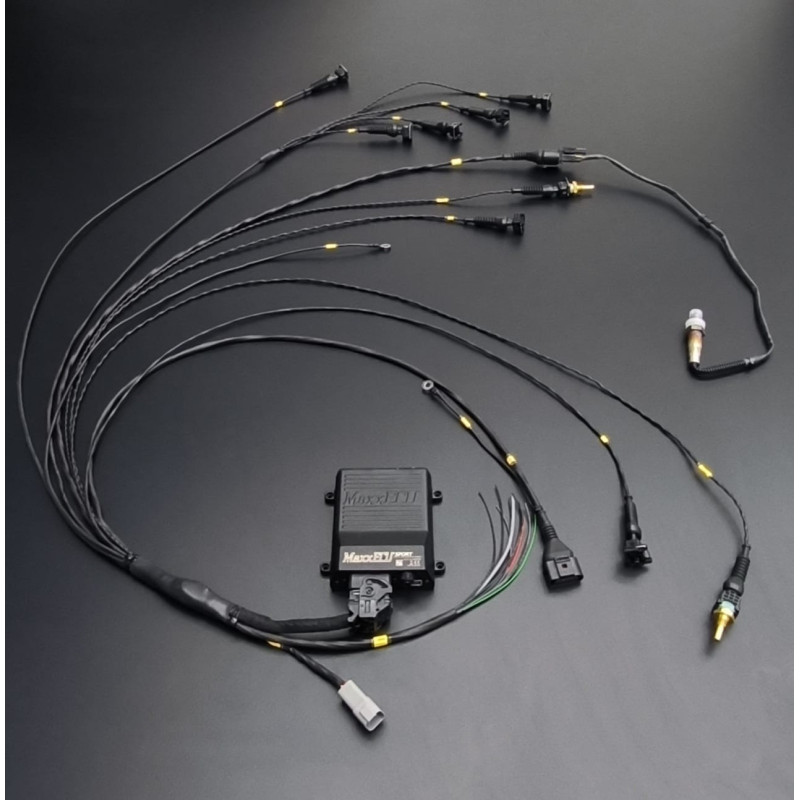 Faisceau Universel GM LS GEN III/IV + Accessoires + MaxxECu Race