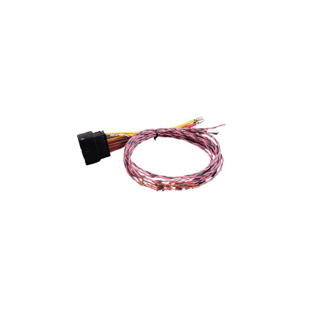 Faisceau Module PWM MaxxECU
