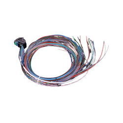 Faisceau universel MaxxECU MINI