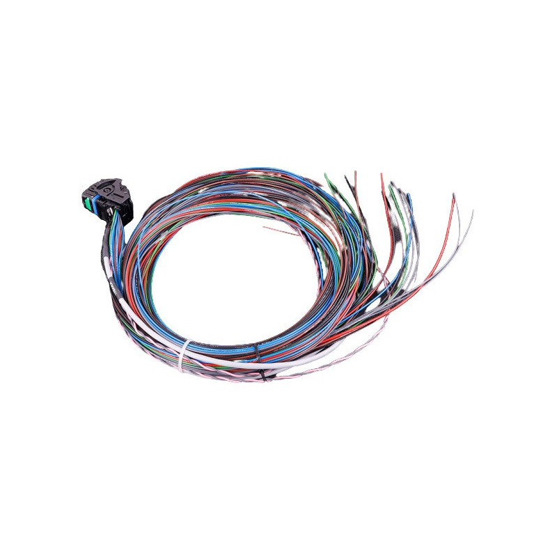 Faisceau universel MaxxECU MINI