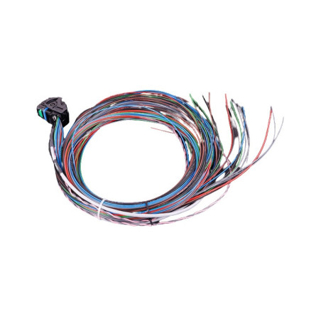Faisceau universel MaxxECU MINI