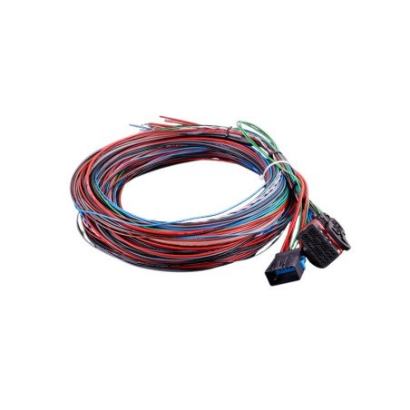Faisceau universel MaxxECU STREET