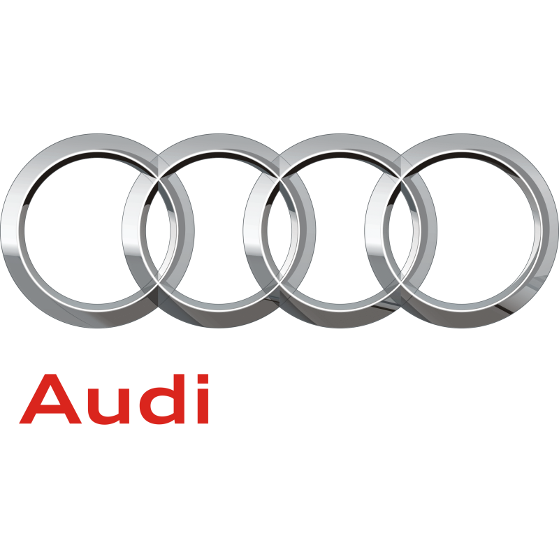 MaxxECU Adaptateur Plug-in Audi AAN