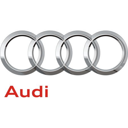 MaxxECU Adaptateur Plug-in Audi AAN