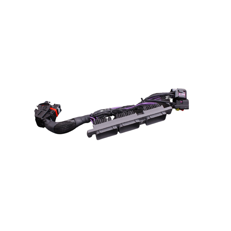 MaxxECU Adaptateur Plug-in TOYOTA SUPRA MKIV