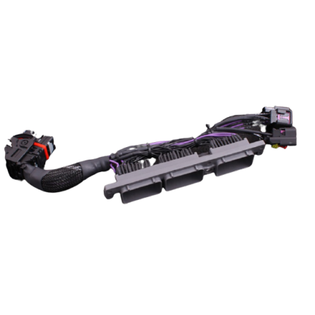 MaxxECU Adaptateur Plug-in TOYOTA SUPRA MKIV