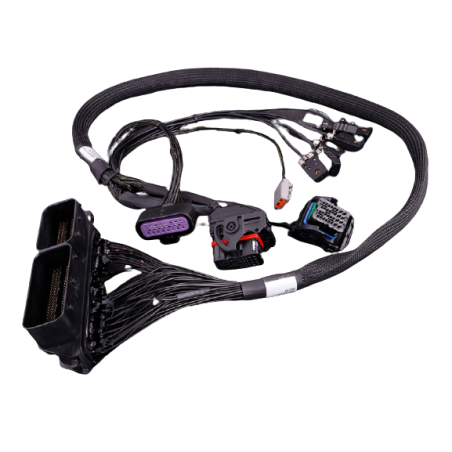 MaxxECU Adaptateur Plug-in Ford FOCUS RS MK2