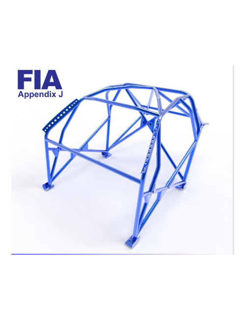ARCEAU AST ROLLCAGES